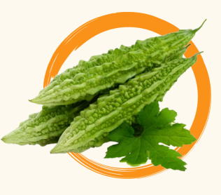 <p>Ampalaya (Momordica charantia)</p>