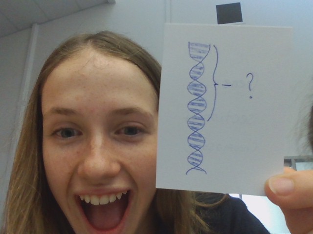 section of dna that codes for a specific characteristic