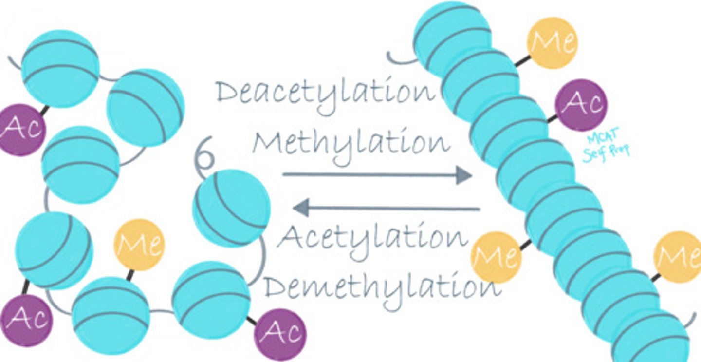 <p>The purpose of methylating and demethylating histone proteins is to regulate gene expression. Typically, if a histone is methylated then that gene is not expressed. If it is unmethylated, the gene is expressed.</p>