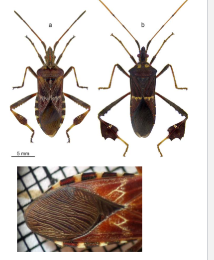 <p>Name the family</p>