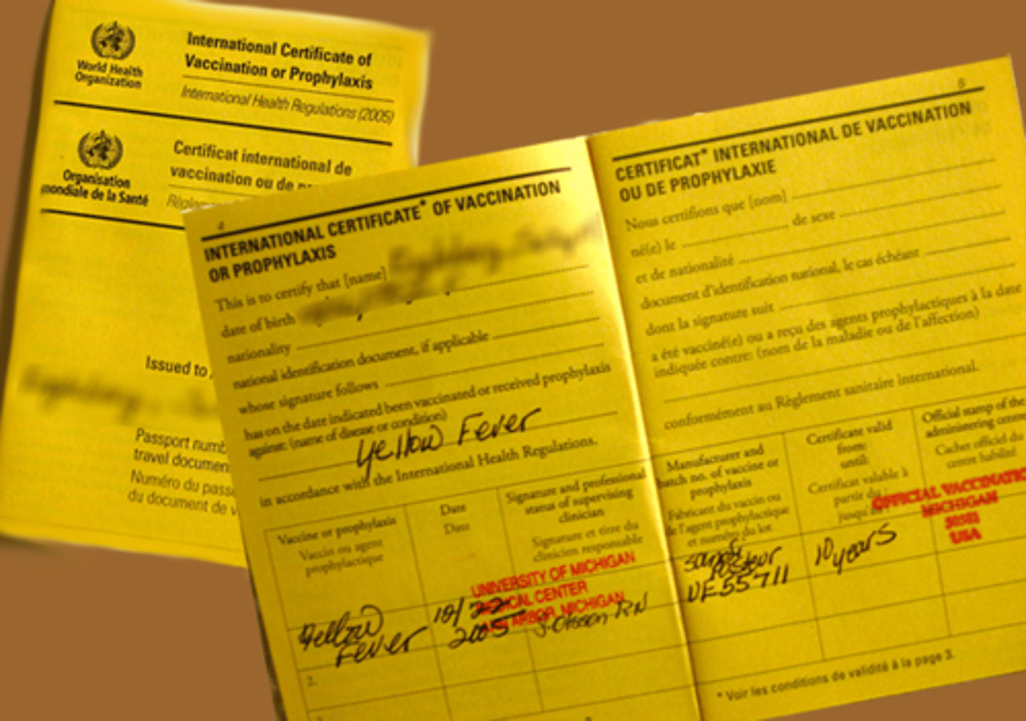 <p>paper proving you have had the necessary health injections</p><ul><li><p><em>Do you have a v_____________ c____________ for him that shows when he last had his shots?</em></p></li></ul><p></p>