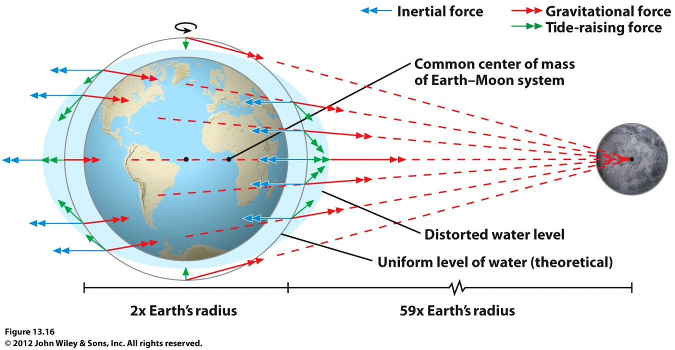 Aarde en maan hebben krachten waardoor ze bij elkaar blijven. Het water op de aarde wordt door die krachten ook uit elkaar getrokken. Hierdoor krijg je getijde (eb en vloed)
