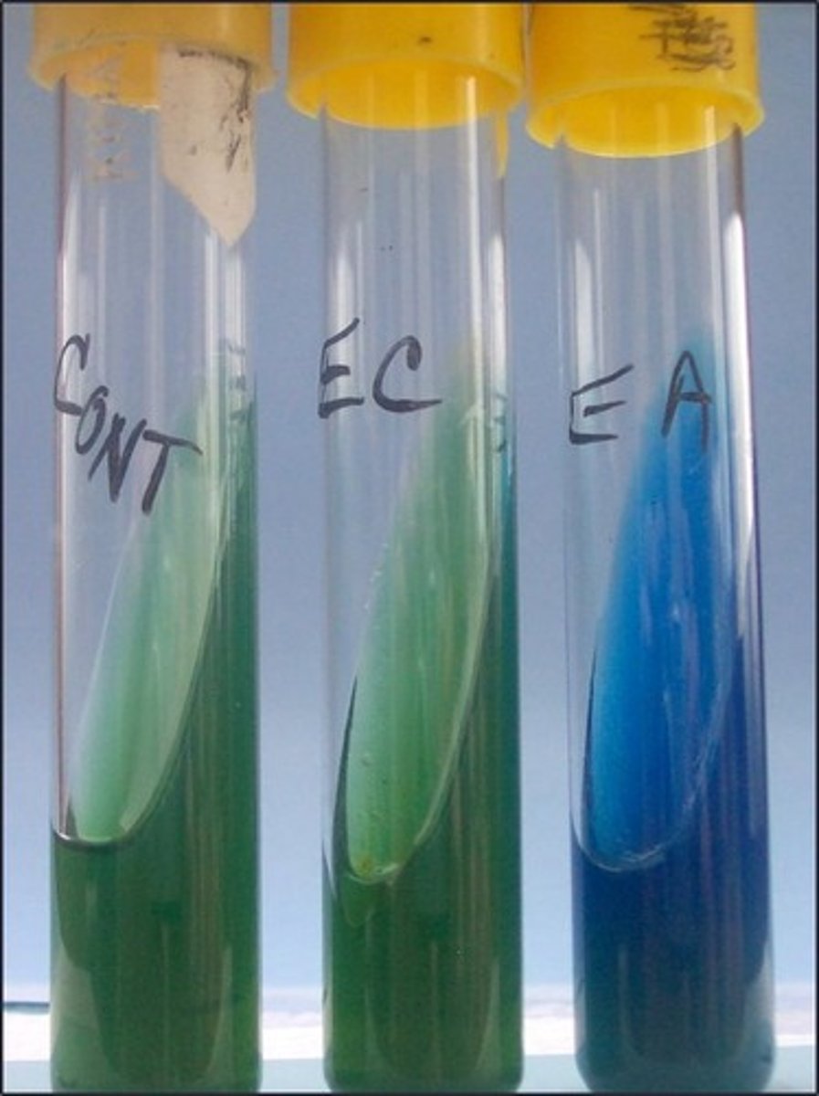 <p>Indicator in this medium:</p>