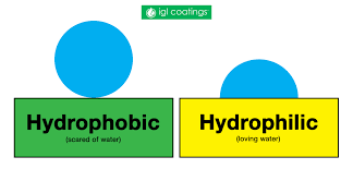 <p>water loving ; polar ( don’t share e equally ) won’t always dissolve , attracted to water molecules</p>