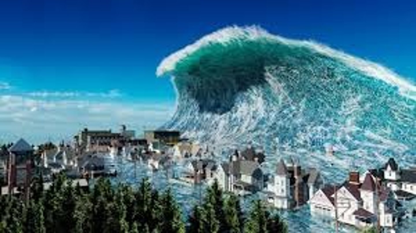 <p>tsunami</p>