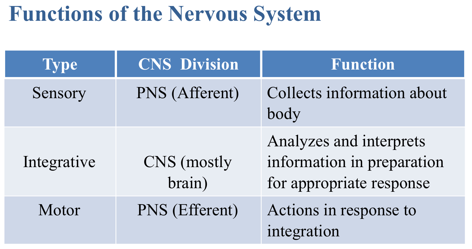 <p>Integrative</p>