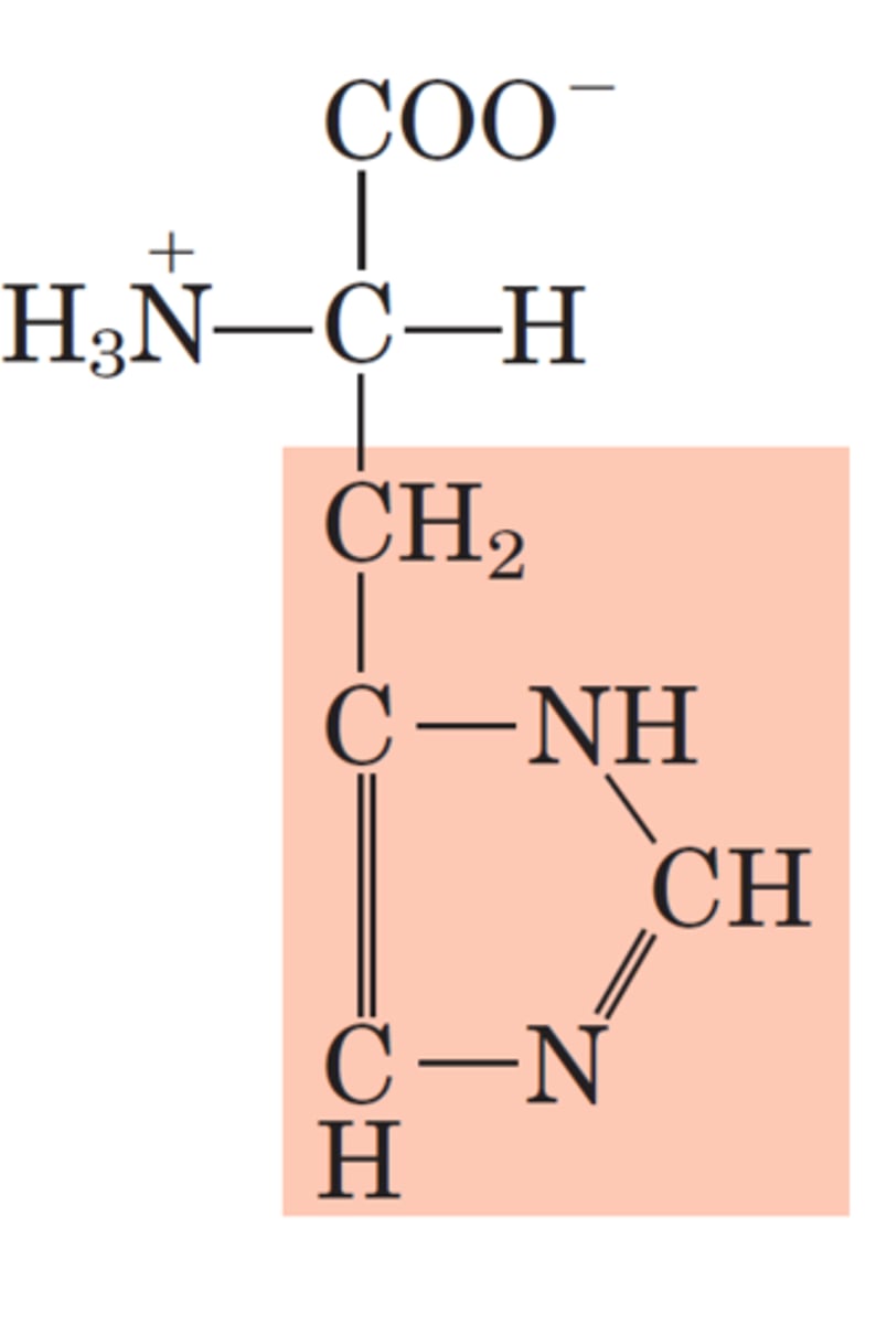 <p>H, His, Polar, Positively charged</p>