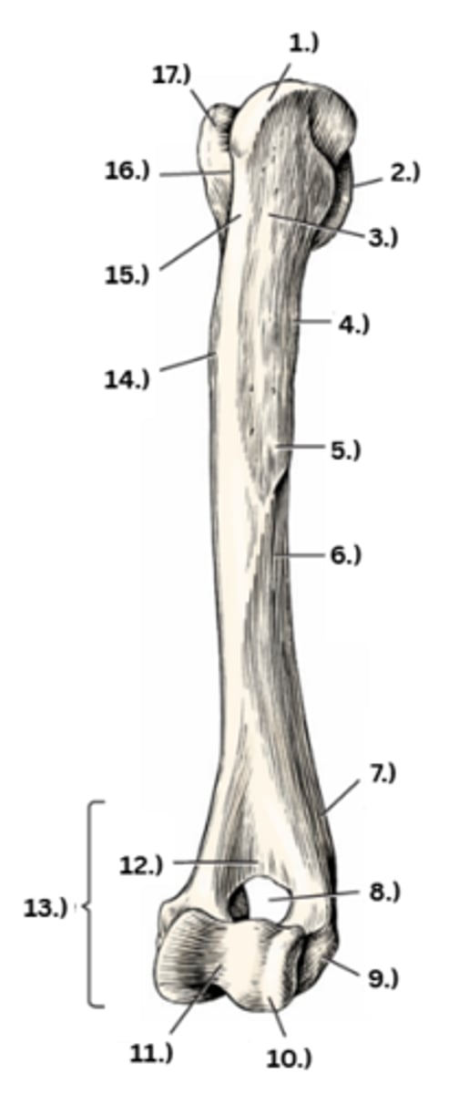 <p>1</p>