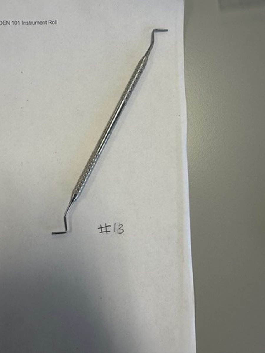 <p>Also know as "pluggers" have flat working end (pack down) freshly placed amalgam into the preparation (restorative instruments)</p>