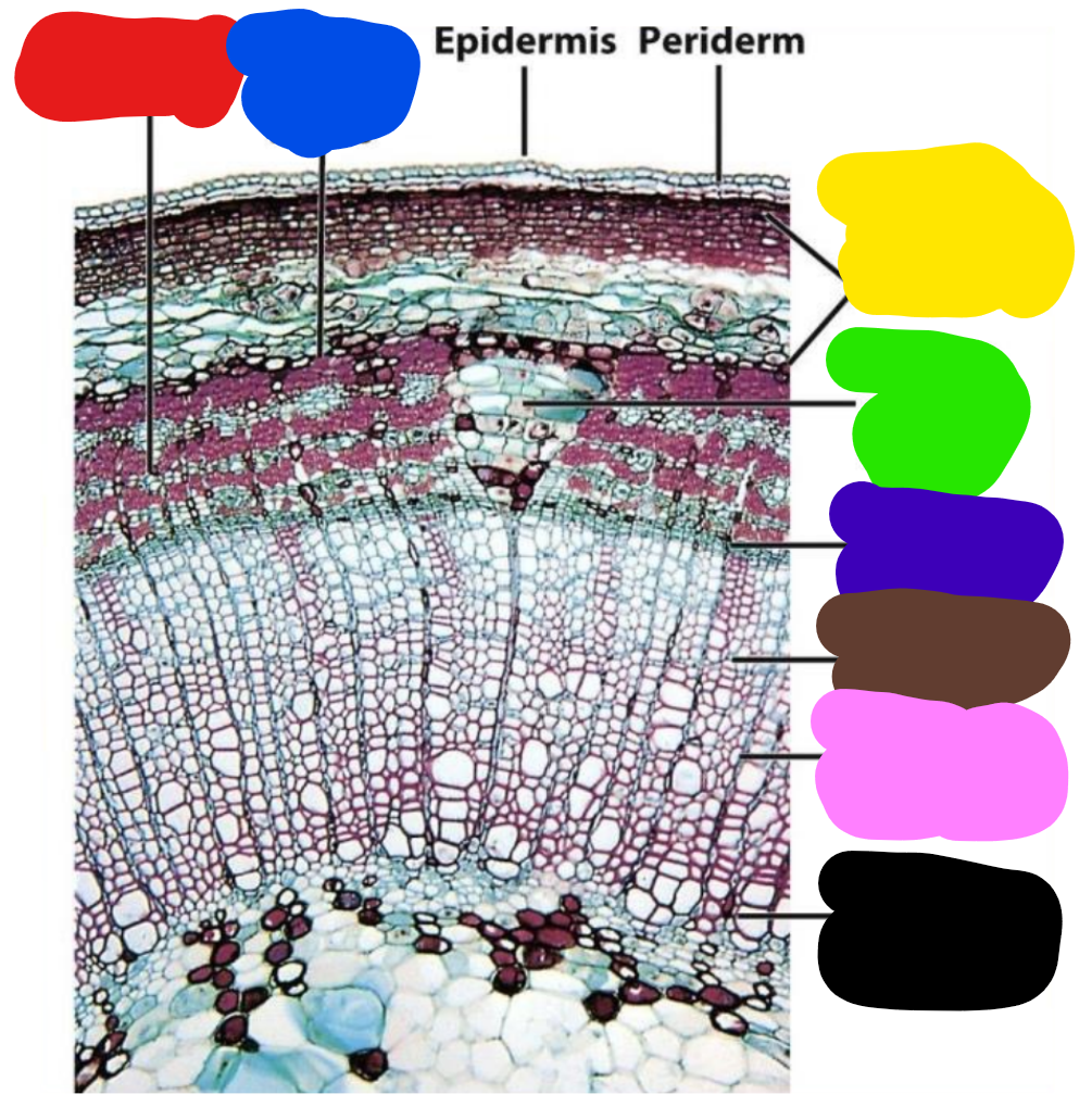 <p>Identify all this shiz</p>