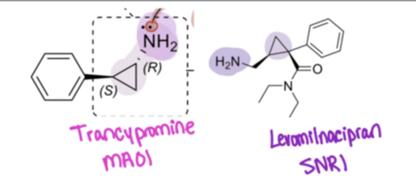 <p>The amine is _____ attached to the cyclopropyl group in trancypromine (MAOI), which differentiates it from levomilnacipran (SNRI)</p>