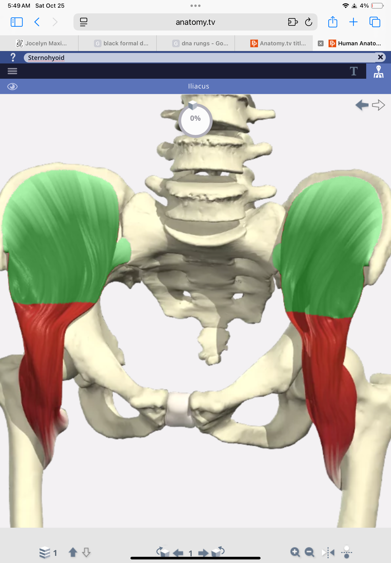 knowt flashcard image