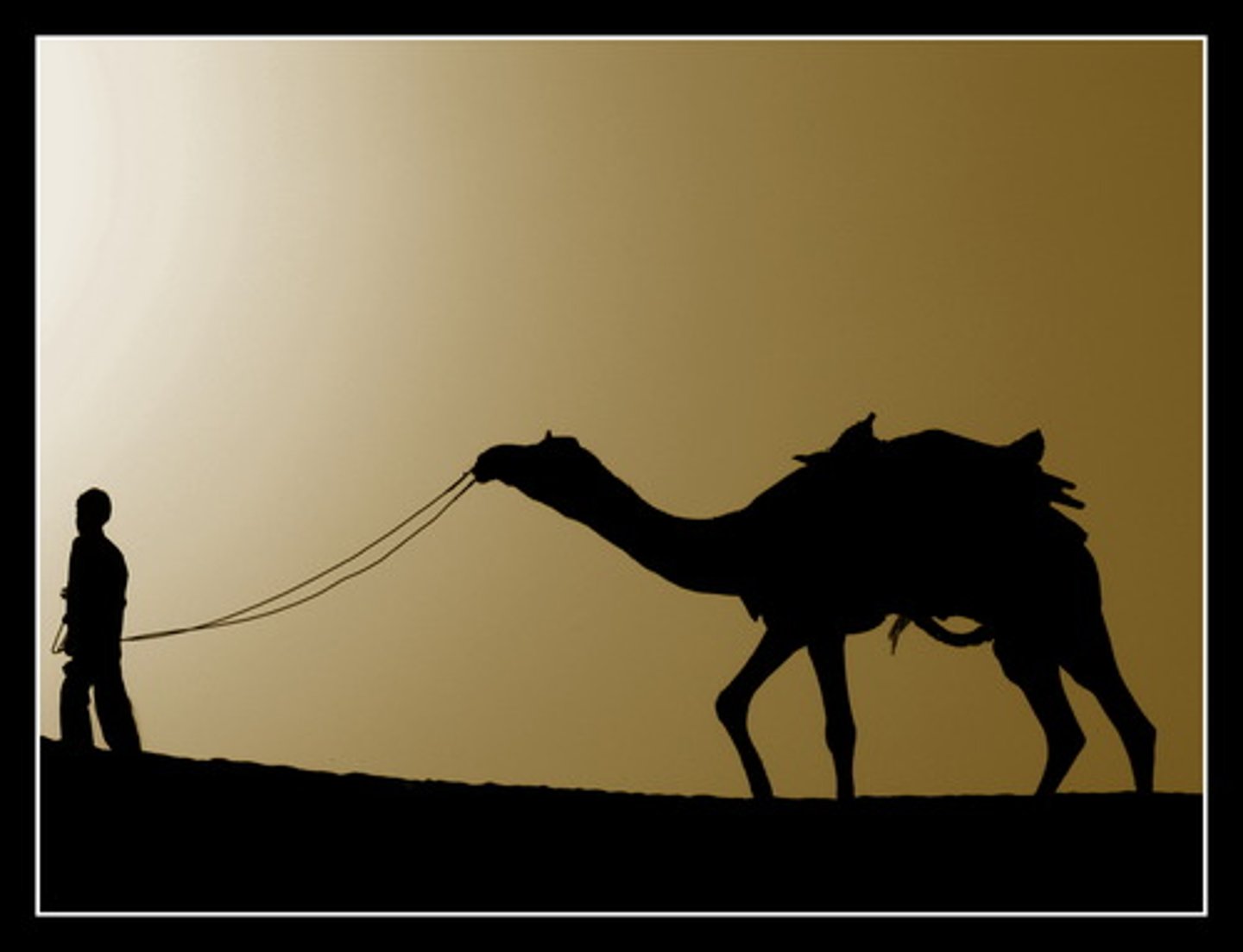 Unit 2 Travel and transport Quizlet Flashcards Knowt