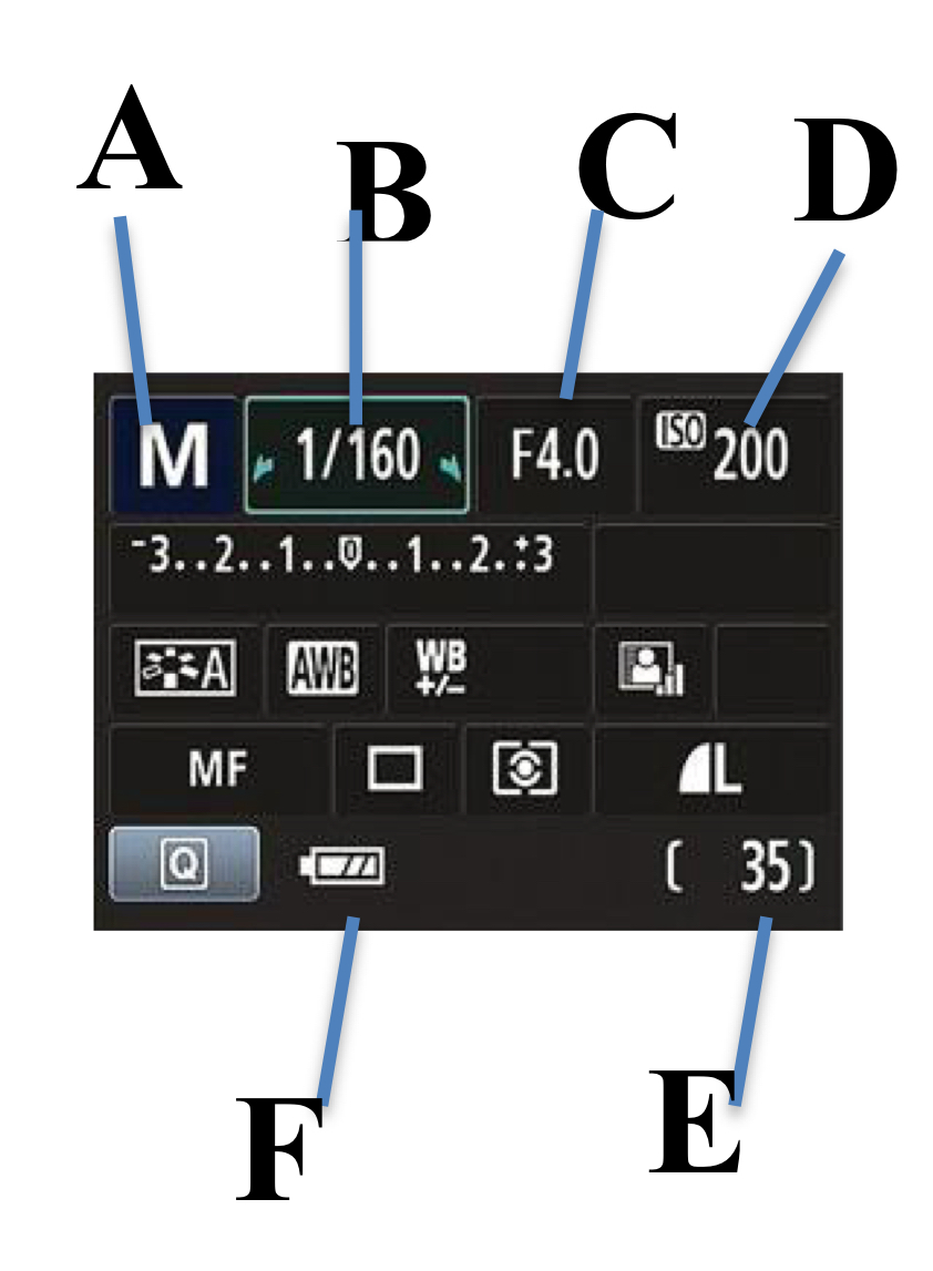 <p>Name the following parts of the camera screen: F</p>