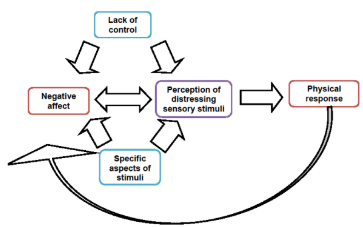 <ul><li><p>importance of particular aspects of stimuli in their perception</p></li><li><p>importance of having control over stimuli</p></li><li><p>how emotions/mental states are impacted by sensory stimuli </p></li><li><p>physical responses to stimuli</p></li></ul><p>lack of control + specific aspects both feed into emotions/mental states associated with the stimuli, leading to physical responses</p><p></p>