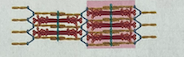 <p>Is this muscle relaxed, partially contracted, or maximally contracted?</p>