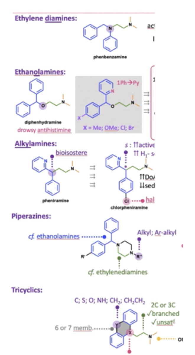 <p>- Ethylene diamines</p><p>- Ethanolamines</p><p>- Alkylamines</p><p>- Piperazines</p><p>- Tricyclics</p>
