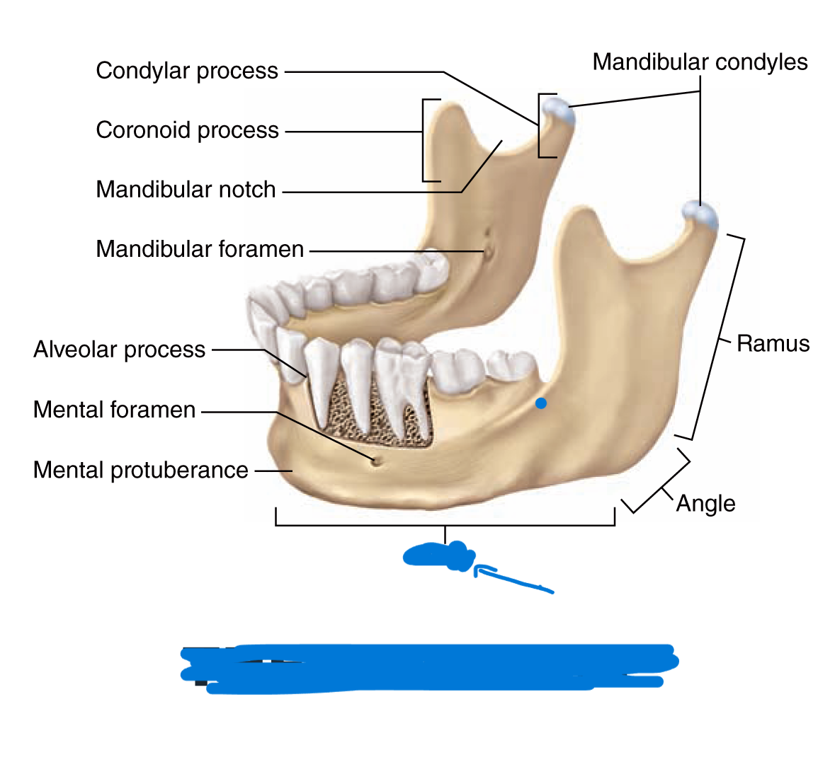 <p>What is this part called?</p>