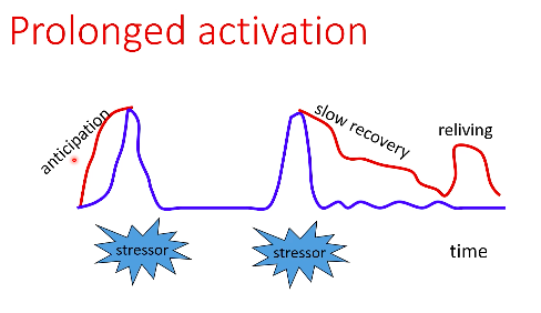 <p>~ stress can be there even if the stressor is not immediately present (thinking about it, reliving it, …)</p><p></p><p>→ how we think about stress plays a role and can be an important buffer</p>