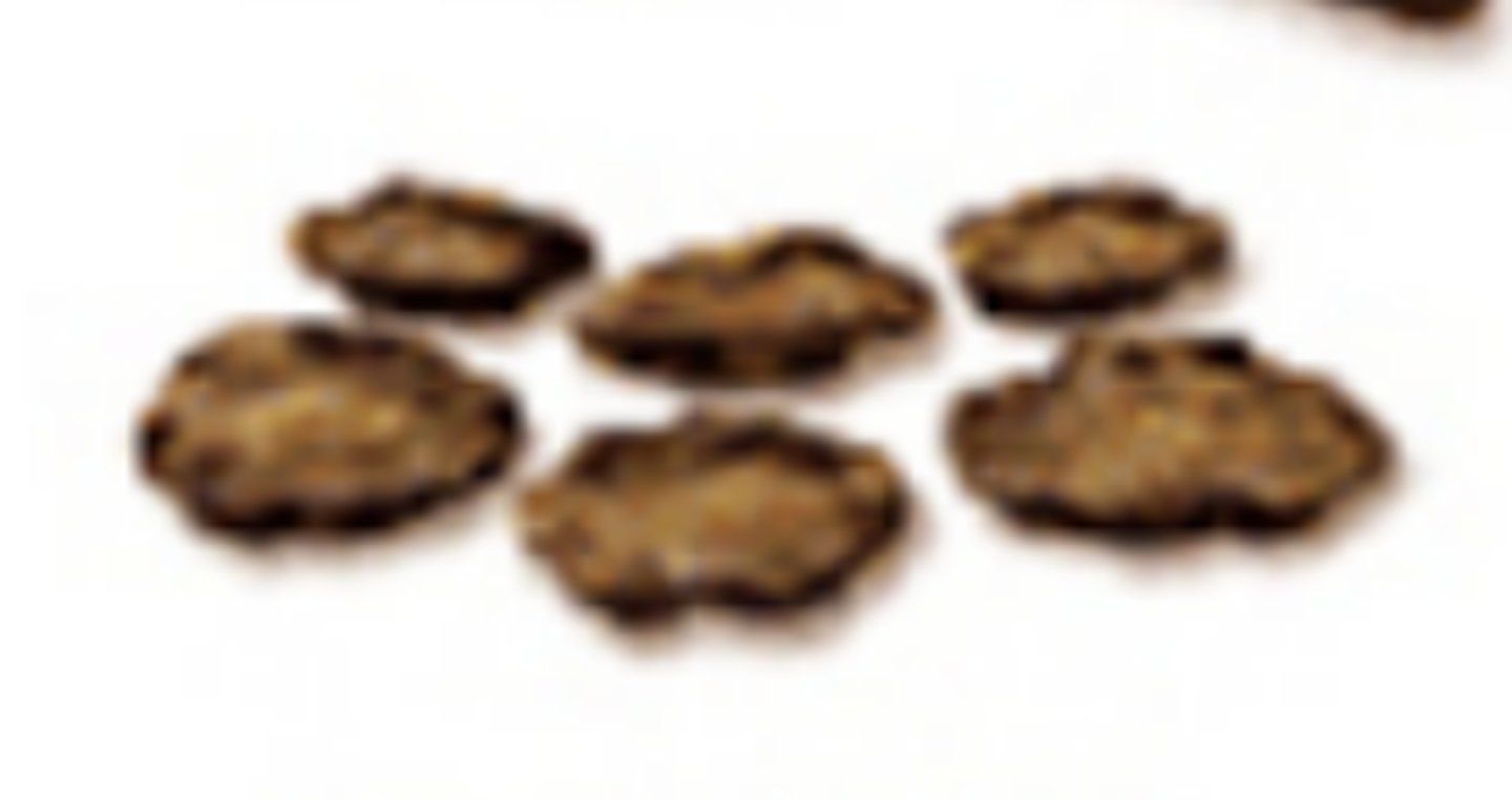 <p>soft blobs, w/ clear cut edges</p><p>- lacking fiber</p>