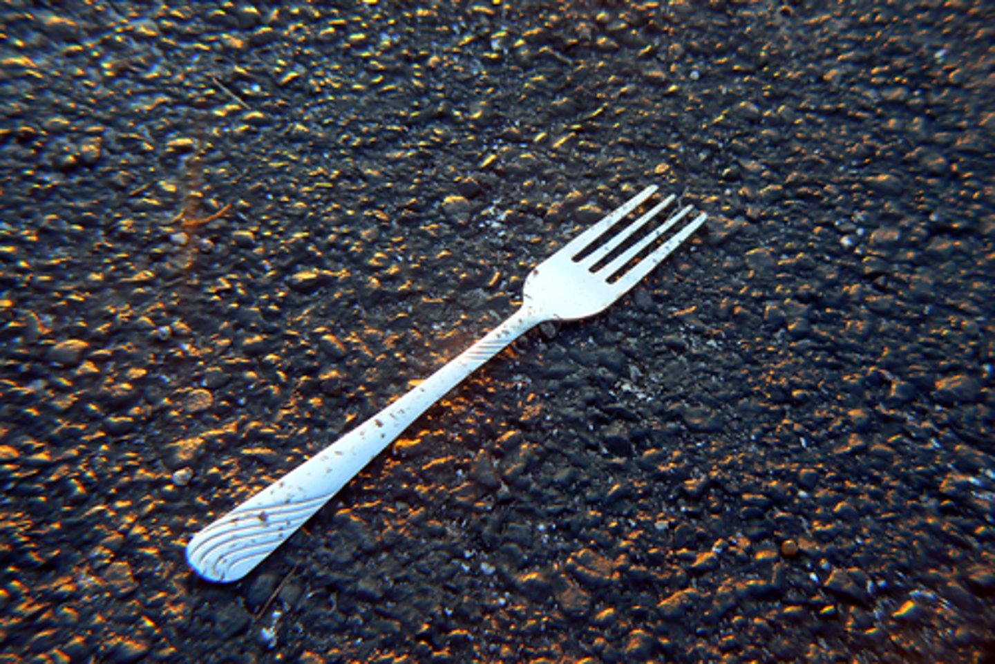 <p>a fork</p>
