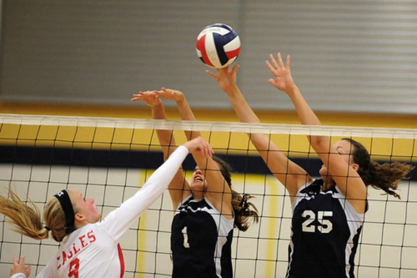 <p>To play voleyball</p>