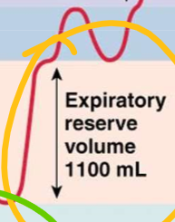 <p>At end of quiet expiration, the volume of remaining air that can be expired</p>