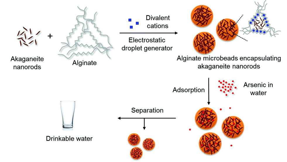 <p>Iron Oxyhydroxides:</p><p><span style="color: rgb(14, 229, 238);"><span>β-FeOOH </span></span><span style="color: rgb(255, 255, 255);"><span>(Akaganeite) Preparation (x1)</span></span></p>