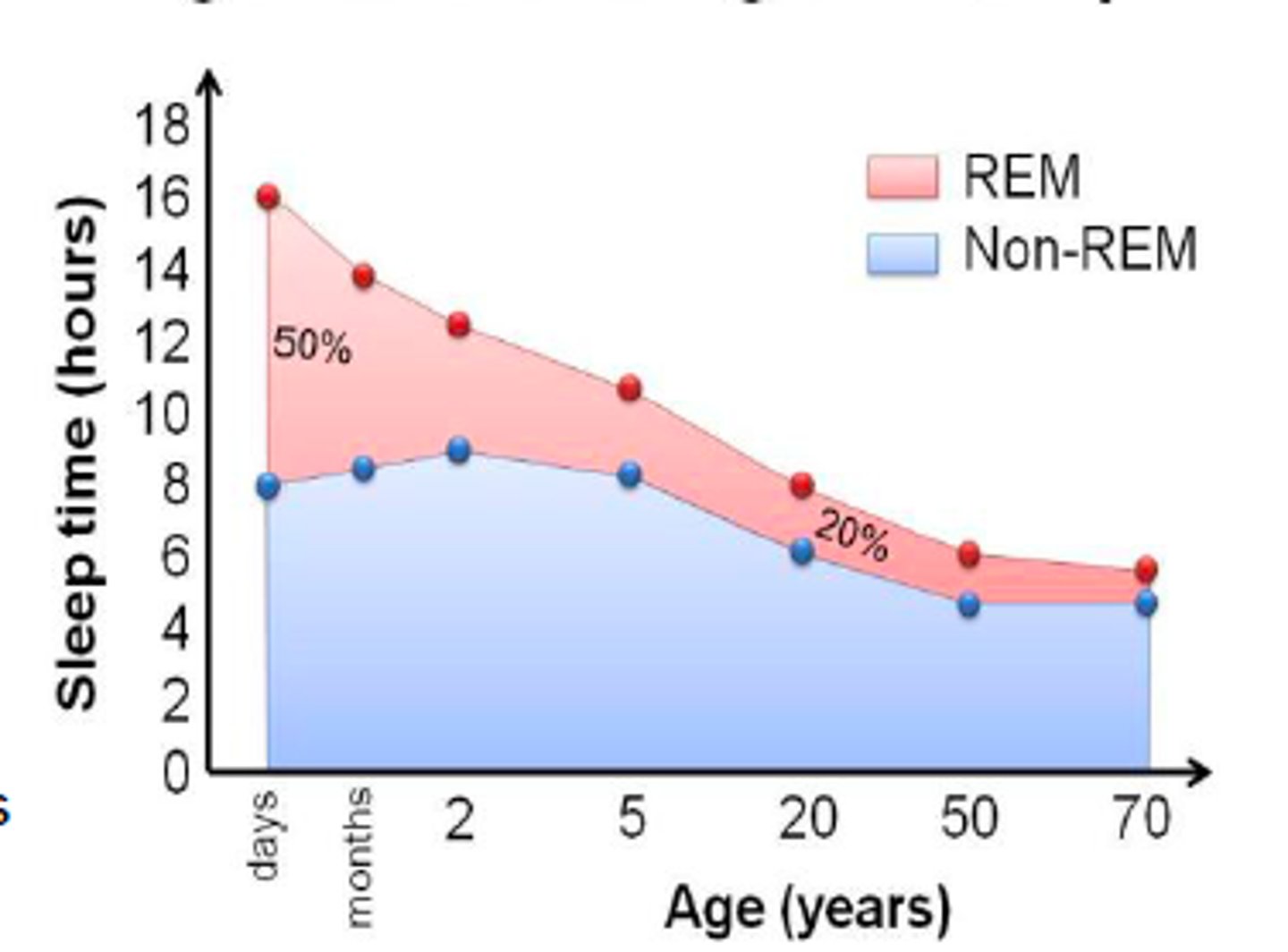 <p>newborns: sleep sporadically throughout the day</p><p>1 y/o: SCN is developed, child syncs with circadian rhythm</p><p>adolescence: increase in deep NREM sleep for synaptic pruning</p><p>midlife/ old age: sleep decreases, but need for sleep does not</p><p>- substantial reductions in deep NREM sleep (stage 3&amp;4)</p>