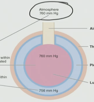 <p>B. 760 mm Hg</p>