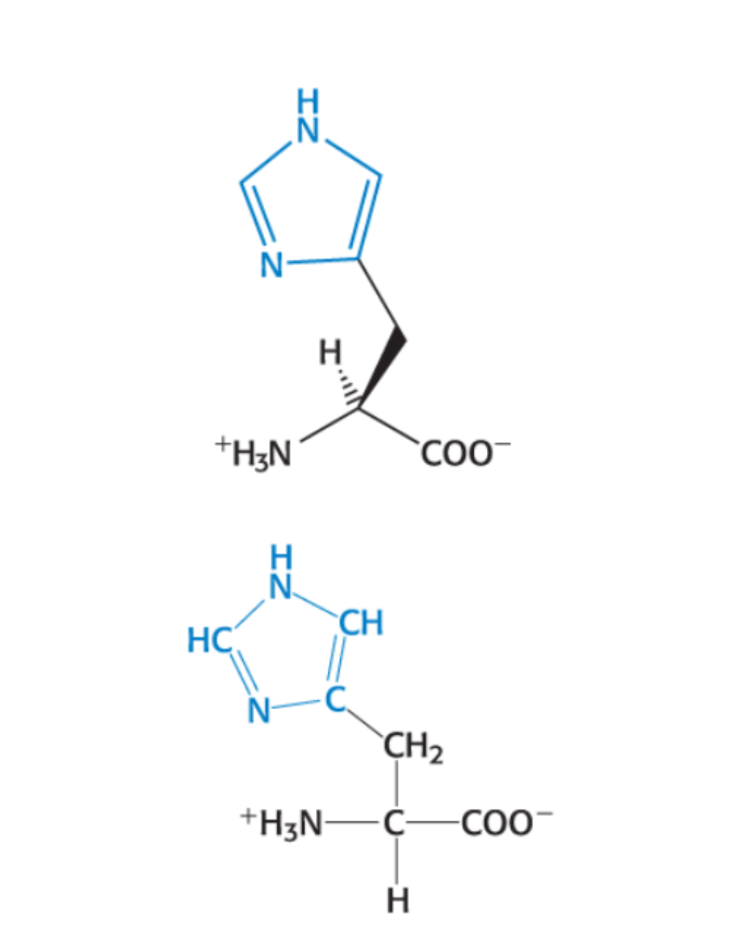 <p>HYDROPHILIC: Imizadole ring</p>