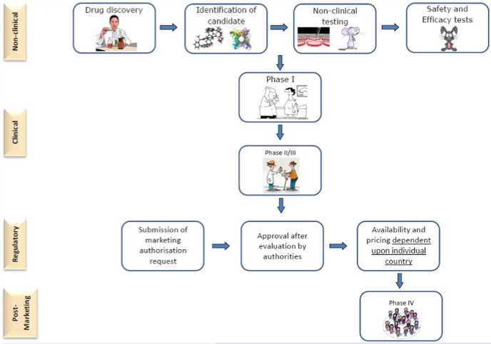 <ul><li><p><strong>Discovery and Preclinical Testing</strong>:</p><ul><li><p>Identifying a promising compound and testing its efficacy and safety in laboratory and animal studies.</p></li></ul></li><li><p><strong>Clinical Trials</strong>:</p><ol><li><p><strong>Phase 1</strong>: Testing on a small group of healthy individuals to assess safety.</p></li><li><p><strong>Phase 2</strong>: Testing on a larger group of patients to evaluate efficacy and side effects.</p></li><li><p><strong>Phase 3</strong>: Large-scale testing to confirm effectiveness, monitor side effects, and compare with existing treatments.</p></li></ol></li><li><p><strong>Regulatory Approval</strong>:</p><ul><li><p>Submitting data to regulatory agencies (e.g., EMA, FDA) for review and approval.</p></li></ul></li><li><p><strong>Post-Market Surveillance</strong>:</p><ul><li><p>Monitoring long-term effects and identifying rare side effects after the drug is marketed.</p></li></ul></li></ul><p></p>