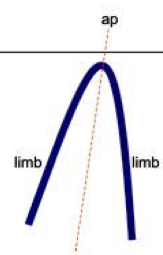 Axial plane is inclined, the two limbs dip in opposite directions
