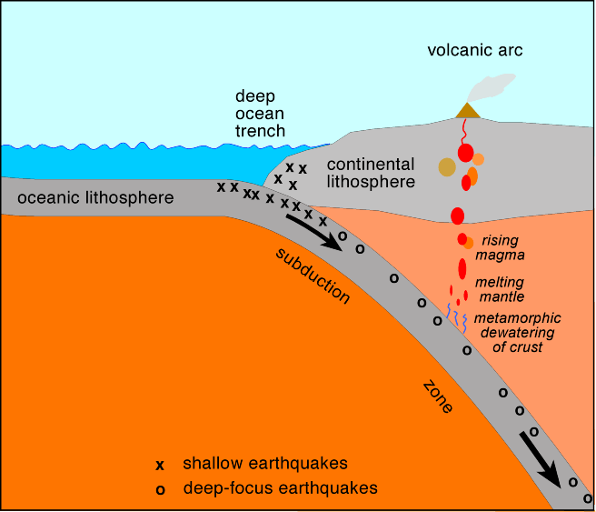 <p>Where one tectonic plate sinks beneath another (e.g., Mariana Trench).</p>