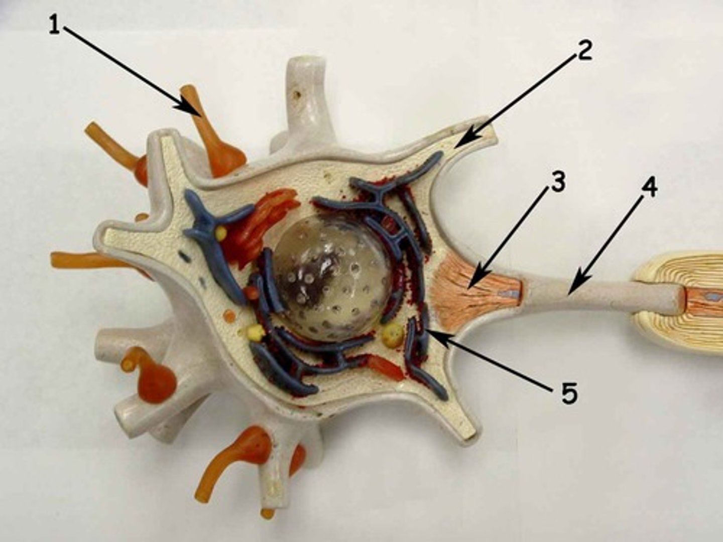 <p>1</p>