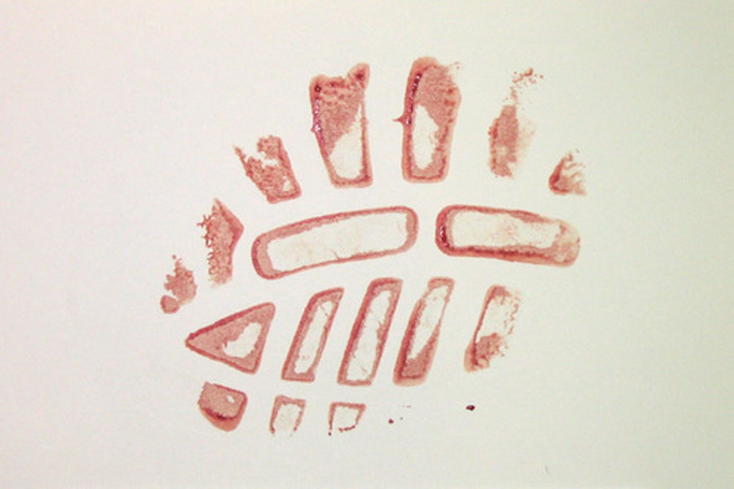 <p>A bloodstain pattern created when a wet, bloody surface comes in contact with a second surface. A recognizable image of all or a portion of the original surface may be observed in the pattern.<br><br>DESCRIPTION: This pattern was generated by wiping blood on the bottom of a shoe and stepping on the target.<br><br>When a wet bloodied object comes in contact with a non-bloodied surface, some blood will be transferred from the object to the surface. In some cases the resulting transfer pattern may have enough detail to identify the object that created the stain.</p>