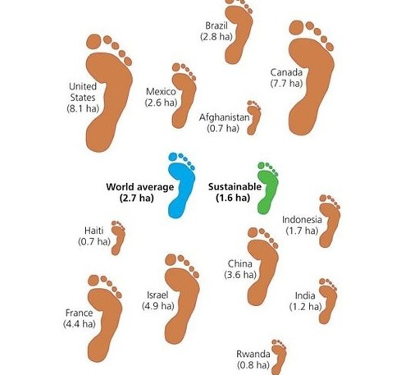 <p>Our collective lifestyle is even more unsustainable than before.</p>