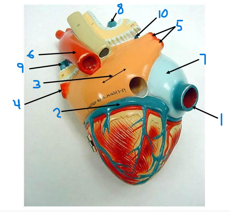 <p>what is structure 9?</p>