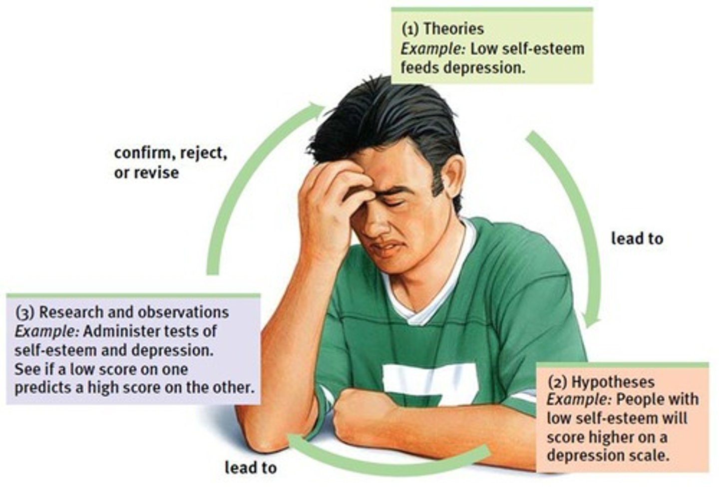 <p>an explanation using an integrated set of principles that organizes observations and predicts behaviors or events (researched and tested)</p>