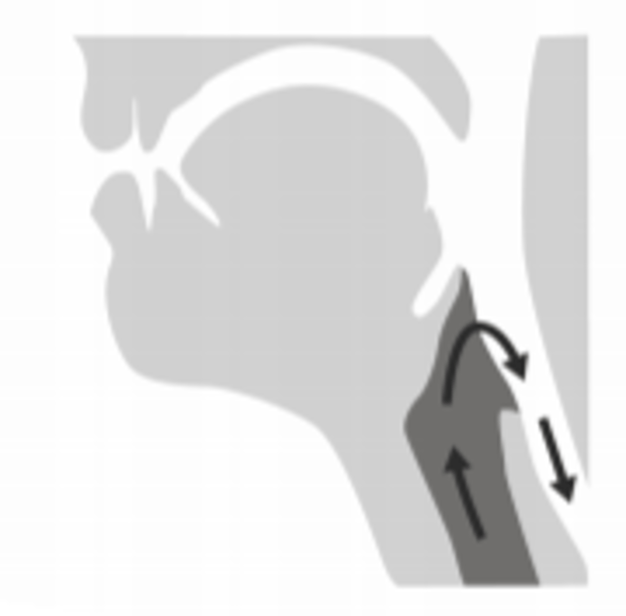 <p>infections where worms enter lungs and are coughed up to live in the intestine</p>