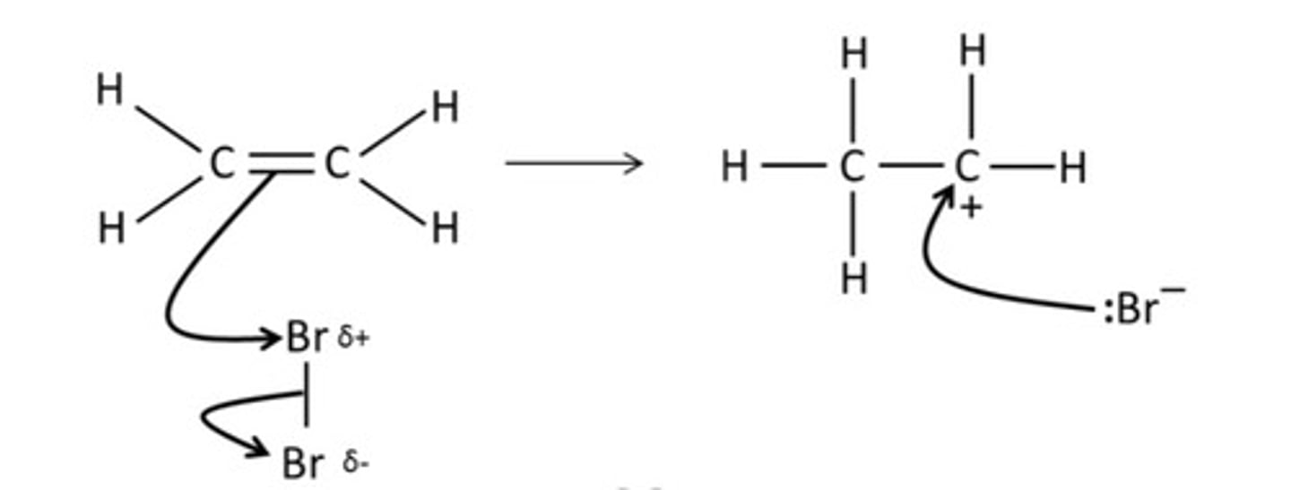 <p>Draw a mechanism for the reaction between bromine and ethene</p>