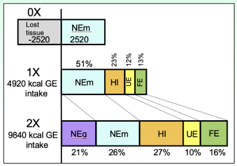 <p><span style="background-color: transparent; font-family: &quot;Times New Roman&quot;, serif;">Energetics and Level of Intake</span></p>