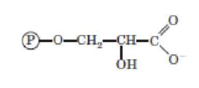<p>What structure is this?</p>