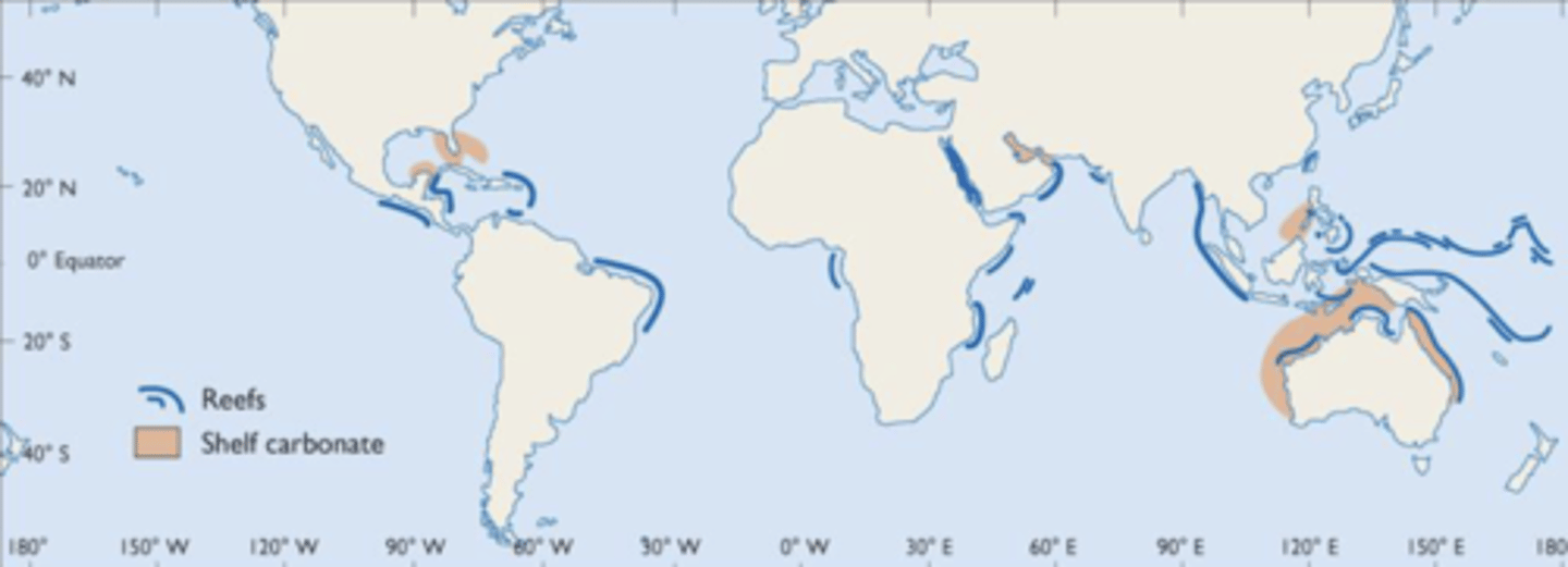 <p>Gyre flows North, so terrigenous sediments go North and prevent coral</p>