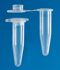 <p>Microcentrifuge tube</p>