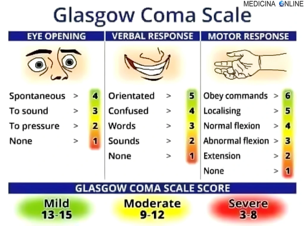 <p>Glasgow Coma Scale </p>