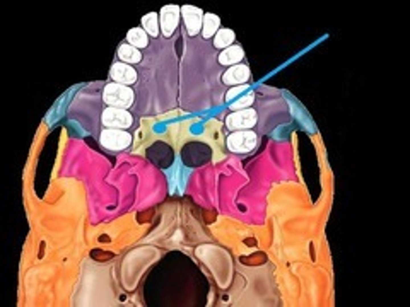 knowt flashcard image