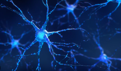 <p><strong>NERVE CELL</strong></p>