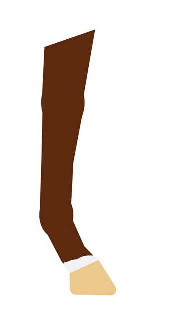 <p>white on feet</p>
