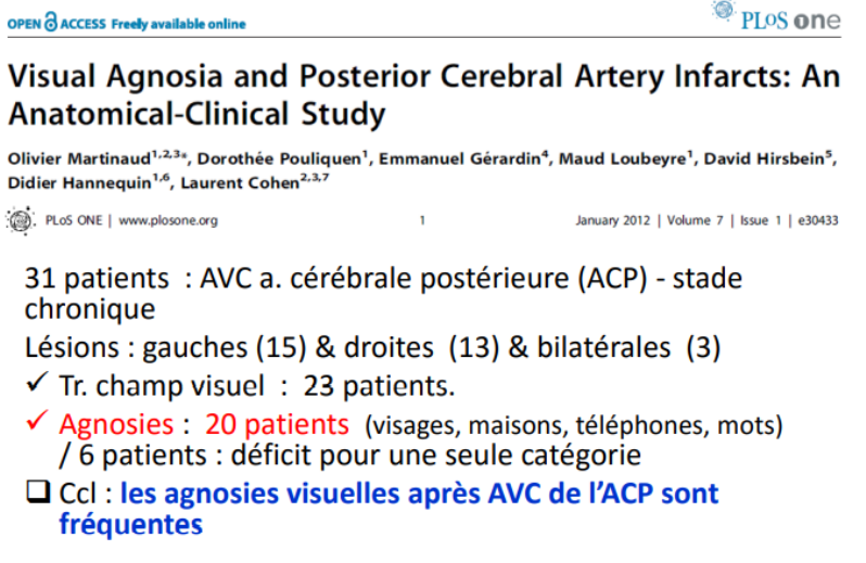 elles sont rares car :
➢ Il y a un traitement en parallèle et la spécialisation relative des régions : beaucoup de possibilités de compensation. Exemple : les agnosies se rencontrent souvent dans la phase aigüe).
➢ Elles nécessitent souvent des lésions bilatérales dans des aires homologies. Exemple : l’agnosie aperceptive.
➢ Elles nécessitent soit des lésions très focales soit une atteinte partielle dans des lésions étendues. La cécité corticale, l’hémianopsie ou l’héminégligence massive « masquent » les autres déficits « subtils ». ➔ Lésions ni trop petites, ni trop grandes.
MAIS : sous-estimée ?
